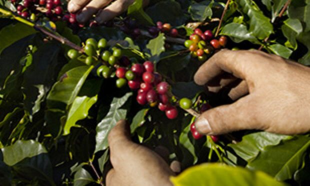 أبحاث المنتج